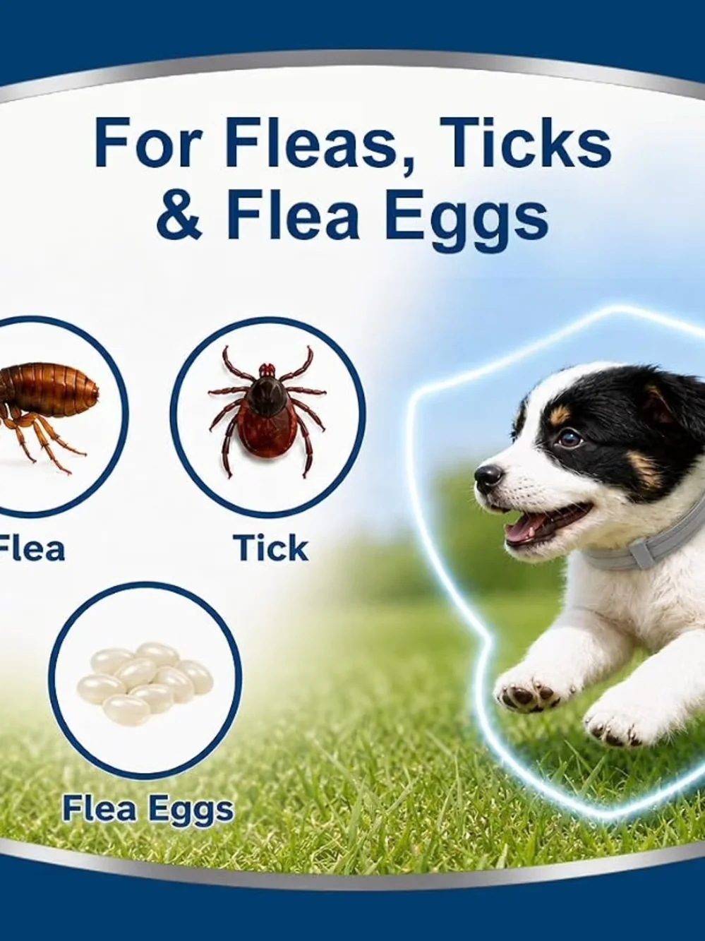 Flea & Tick Collar for Small Dogs - Gray